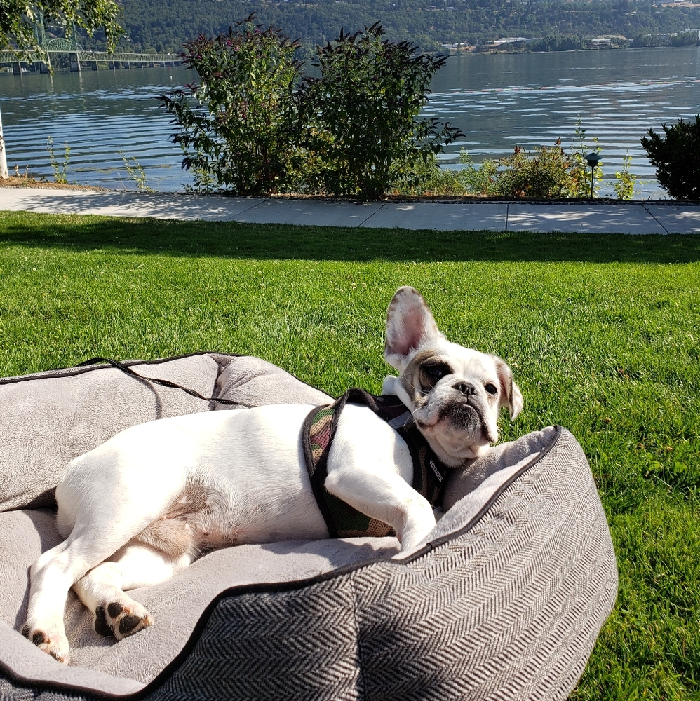 Quantity&Quality - Picture 2 of 8